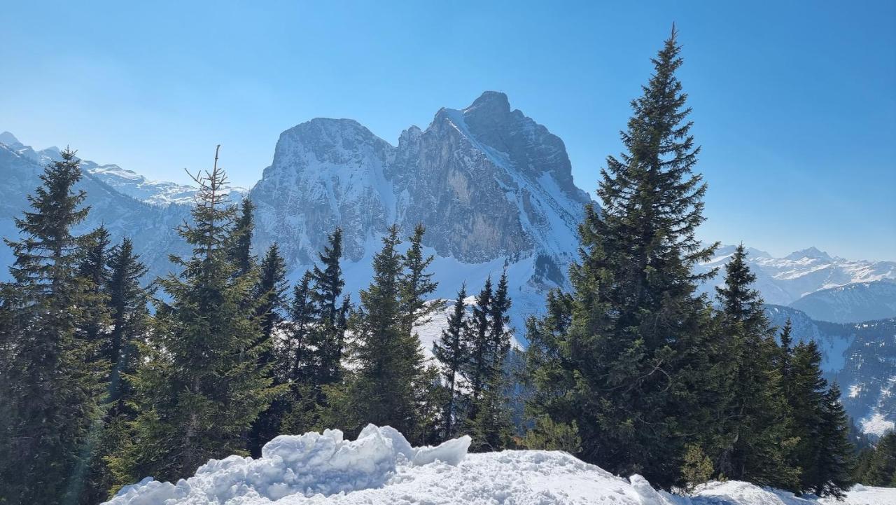 Gipfelstuermer Lägenhet Nesselwang Exteriör bild