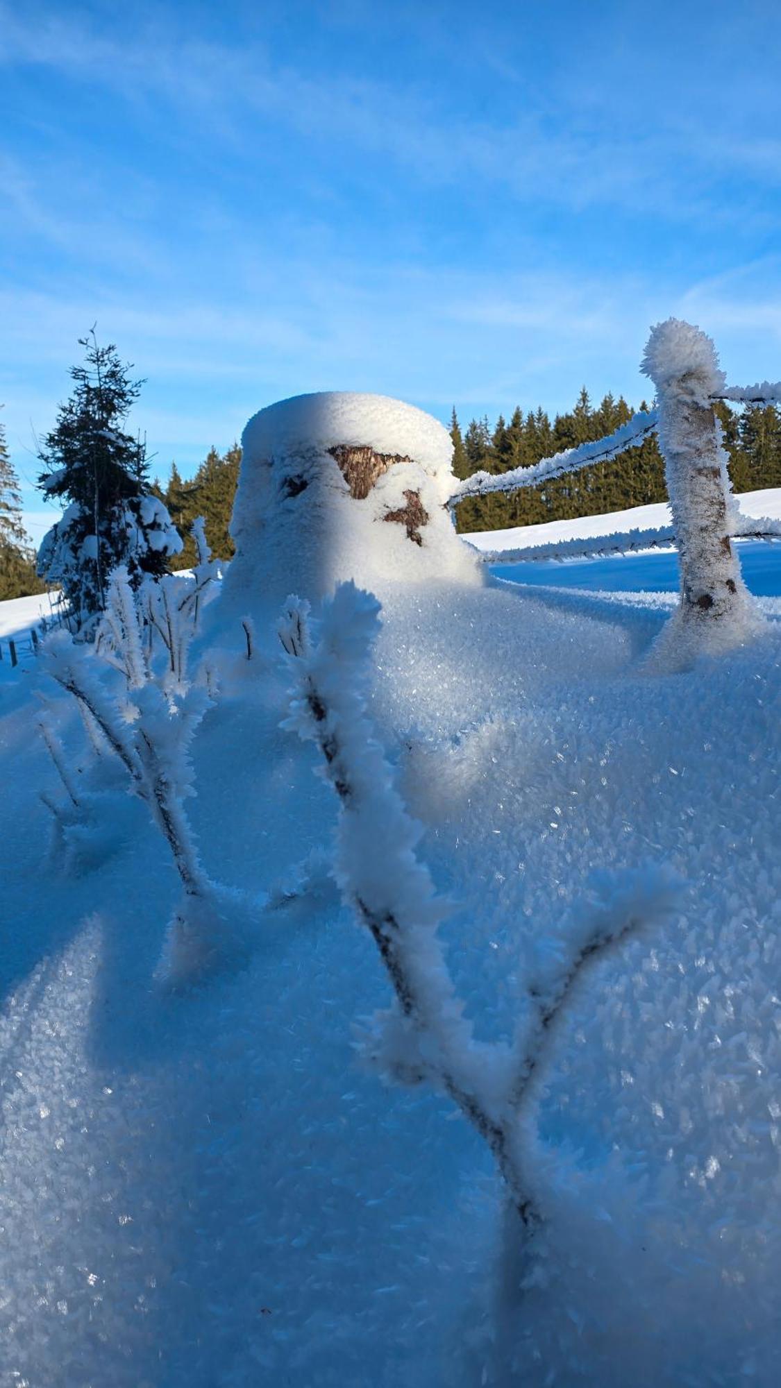 Gipfelstuermer Lägenhet Nesselwang Exteriör bild