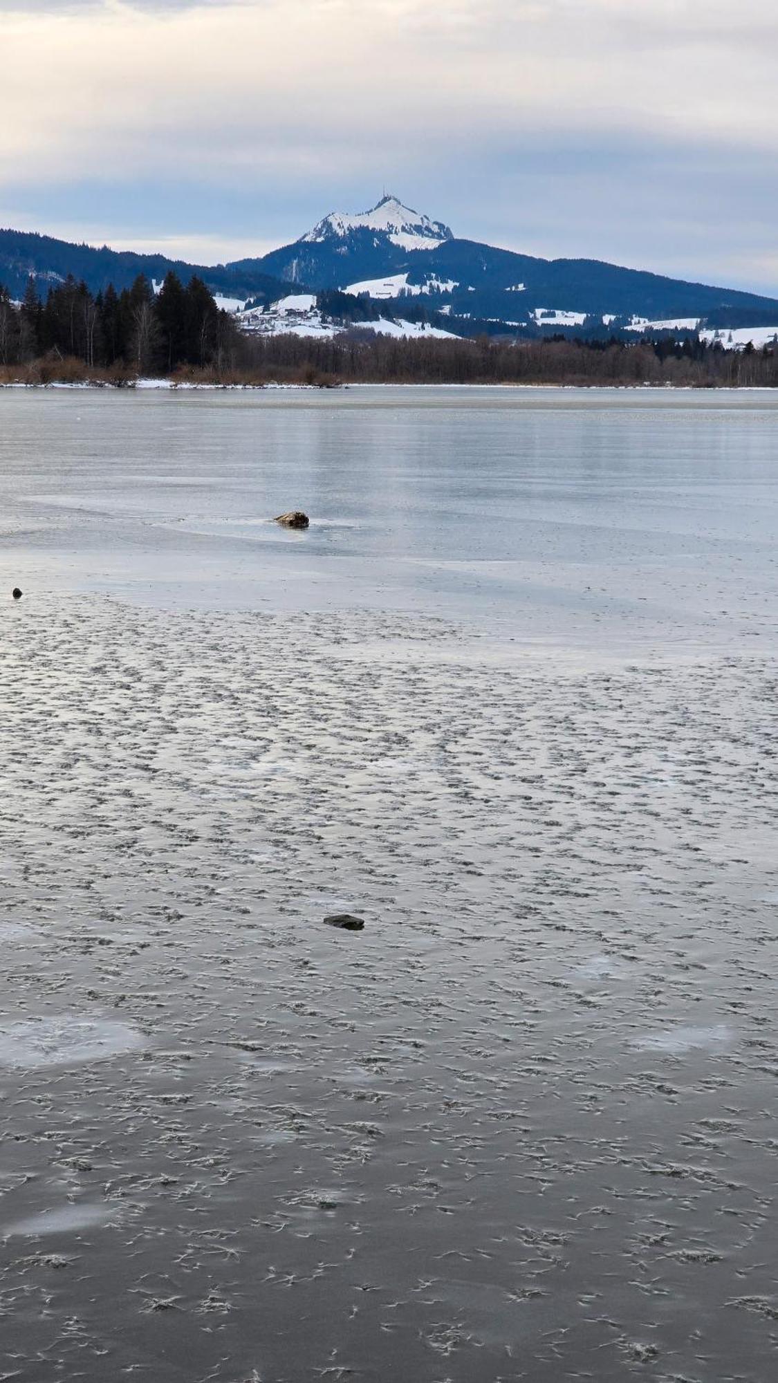 Gipfelstuermer Lägenhet Nesselwang Exteriör bild